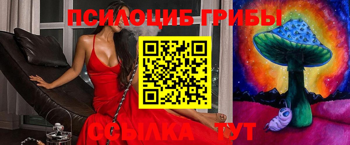 Псилоцибиновые грибы Cubensis  Вход с VPN  Арзамас 